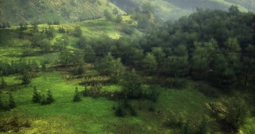 Vibrant Green Hills and Dense Forest Revealing Natures Beauty During Daylight