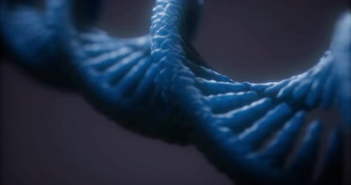 Exploring the Intricate Beauty of DNA Structure in a Captivating Visual Journey