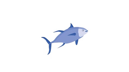 Animated Blue Fish Icon Reveal