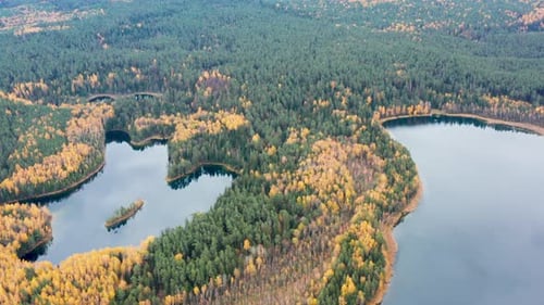 Aerial View of Shaped Pond in Autumn Forest Europe