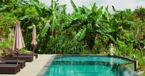 Relaxation area with sun loungers by pool in the background tropical forest palm trees. Nobody. Reso