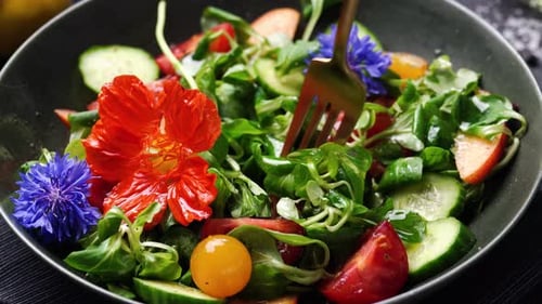 Eating Green Summer Salad