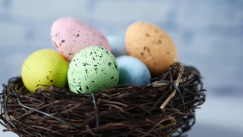 Colorful Easter Eggs in Nest Decoration