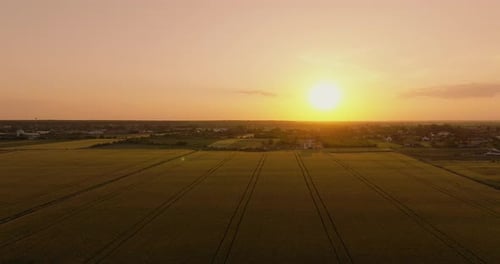 Grüne landwirtschaftliche Felder und dichte Wälder, eingefangen im warmen Licht der Sonne, Luftaufnahme