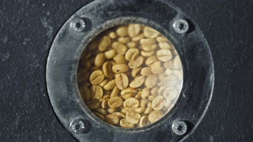 Green coffee beans rotating inside roasting machine