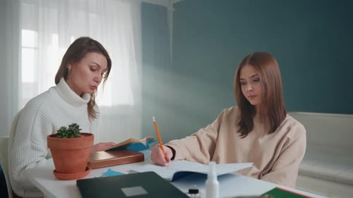 Exercices de grammaire avec conseils engagés dans des exercices de pratique linguistique complets La formation comprend