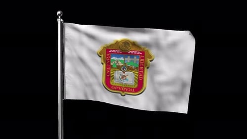 Bandera del Estado de México con Canal Alfa