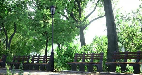 Green Park Path with Benches and a Street Lamp in Bright Daylight