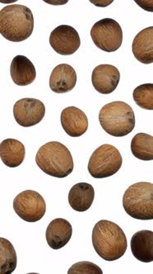 Falling Coconuts Animated Against White Background