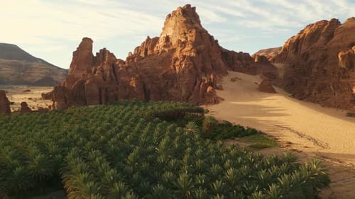 A Scenic Oasis in the Desert Surrounded by Green Palm Trees and Orange Rock Formations