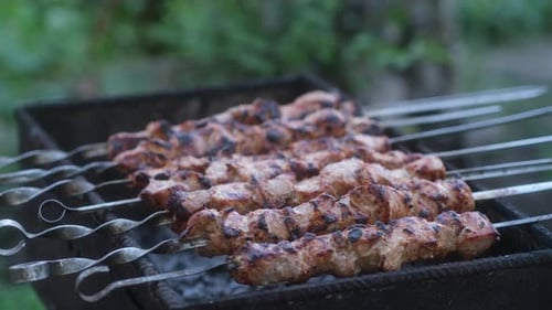Juicy Kebabs on the Grill Outdoors
