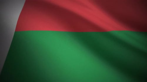 Realistic Madagascar Flag Waving Loop