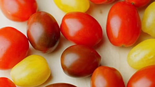 Close up shot at cherry small tomatoes red orange and yellow rotating fruits