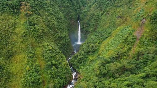 San Fernando waterfall surrounded by dense tropical rainforest in Costa Rica