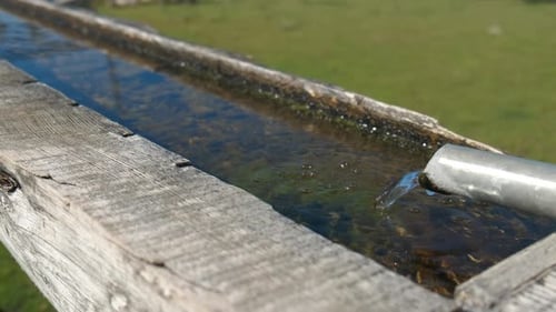 Trinkwasserbrunnen im Sommergarten
