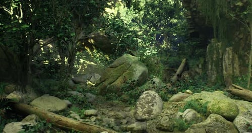 Hidden Oasis in Lush Greenery Surrounded By Rocks and Fallen Logs