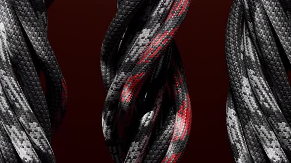 Dynamic Ropes 3D Spinning Animation, Backgrounds Motion Graphics ft ...