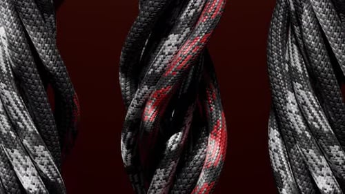 Modern Abstract Twisting Braided Ropes Loop Background