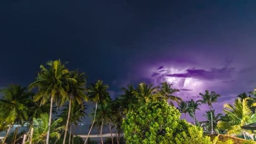 Night storm over palms beach time lapse