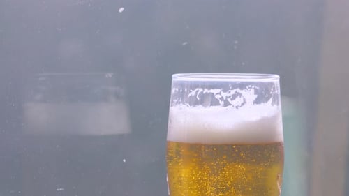 Foamy Golden Beer in a Glass Close Up