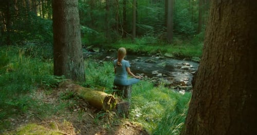 Woman sits in yoga pose on a tree stump in the woods near a flowing stream surrounded by lush greene