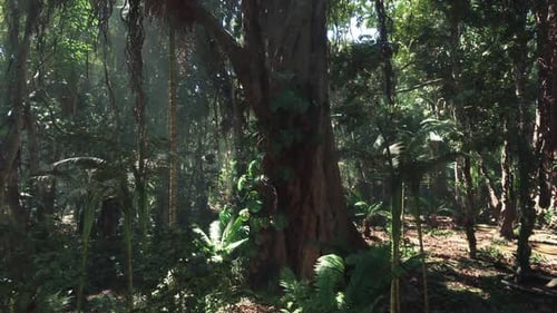 Exploring the Lush Greenery of a Vibrant Jungle in China During Daylight
