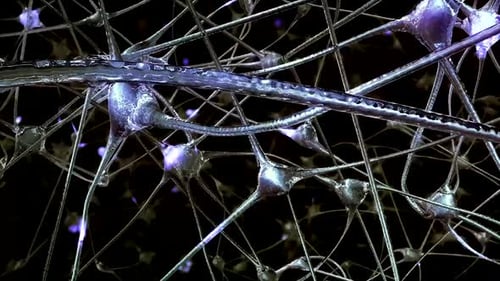 Neurones se connectant dans un réseau neuronal complexe avec des synapses lumineuses