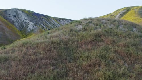 Drone flying on top of the Carrizo Plains in California captures the beauty of the green mountains a