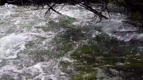 Rauschendes Flusswasser rollt an Ästen vorbei. (Zeitlupe)