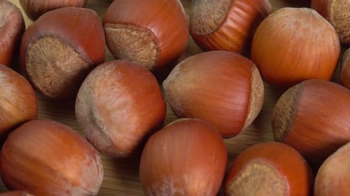 Hazelnuts in shells rotate on wooden background close up. Whole and shelled organic hazelnuts