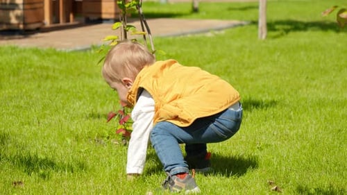 Cute baby boy standing up on the grass lawn and walking to the playground at yard.