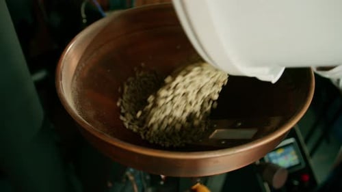 The process of roasting coffee a worker pours raw coffee beans into a modern roaster in a factory