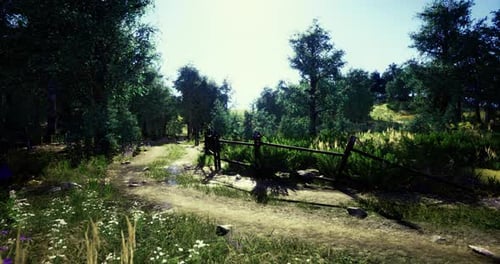 Serene Forest Path Teeming with Life Sunlight Filtering Through Lush Trees