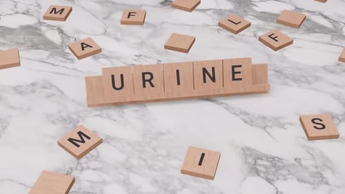 Urine word on scrabble