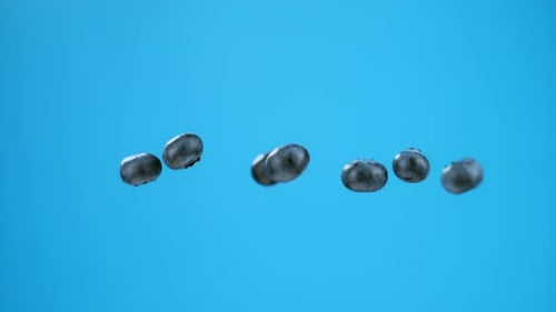 Seven blueberries in a row or group launched and flying in air. High quality cinematic studio commer