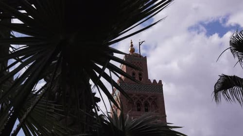 A steady shot of an ancient minaret framed by lush palm leaves – an iconic view of Marrakesh's histo