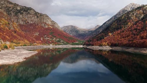 Forêt d'automne pittoresque aux feuilles colorées