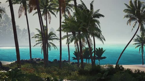 Tropische Strandlandschaft mit Palmen vor einem strahlend blauen Meer