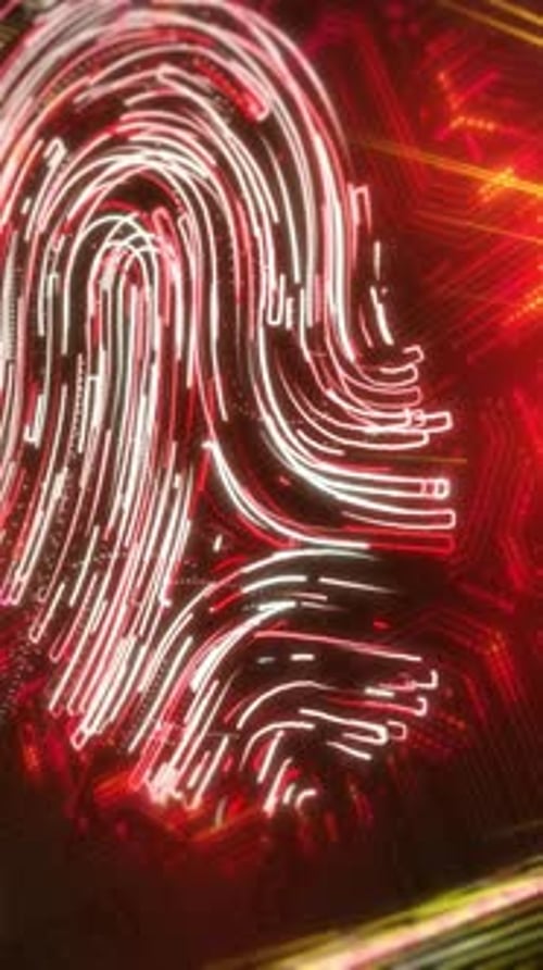 Animation on the Subject of Fingerprint Identification