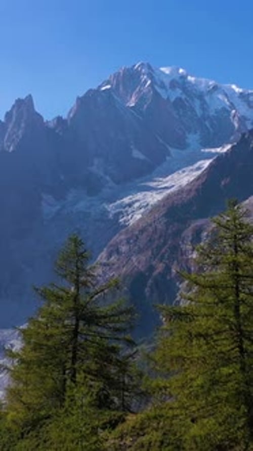 Mont Blanc Mountain and Trees Italian Alps Italy Aerial View Vertical Video