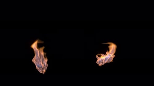 Feuerflammen lodern und brennen auf transparentem Hintergrund.