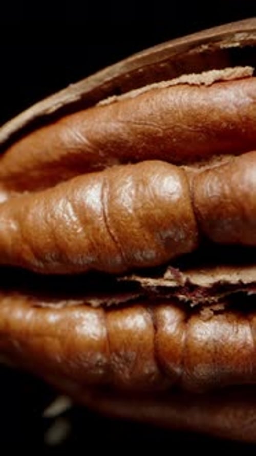 Vertical video. Pecan nuts on a black reflective table with reflections, macro zoom, slider shot.