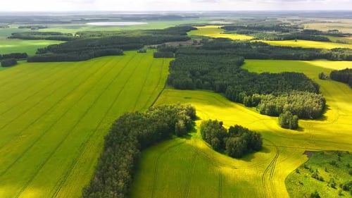 Golden Fields And Forests From A Bird’s Eye View Drone Nature Footage