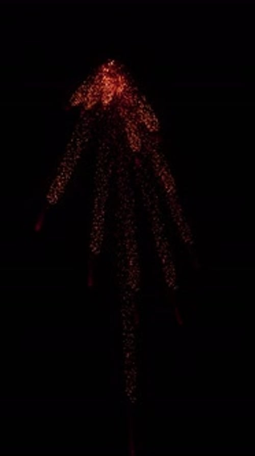 Aerial Sparks Explosion (34)