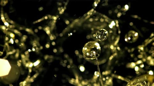 Golden Water Droplets on Spider Web Macro Shot