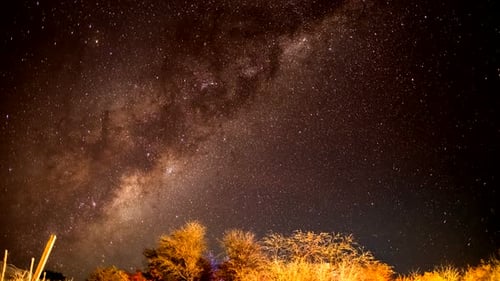 Timelapse made of the Milky Way moving above some lighted trees at night in Chili South America with