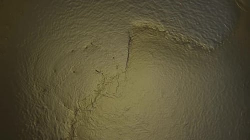 On Golden Pond - For more, search "AbstractVideoClip" using the quotation marks