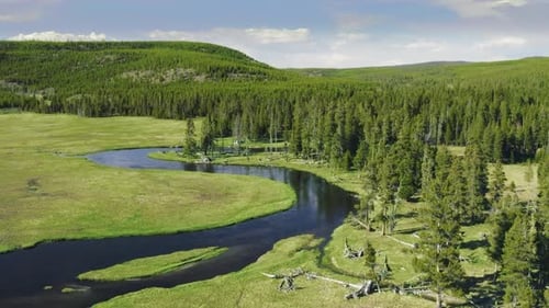 Breathtaking Aerial View of a Winding River Through Lush Forests
