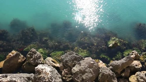 Under the sea. Rocks and rippling water. Turquoise and transparent water
