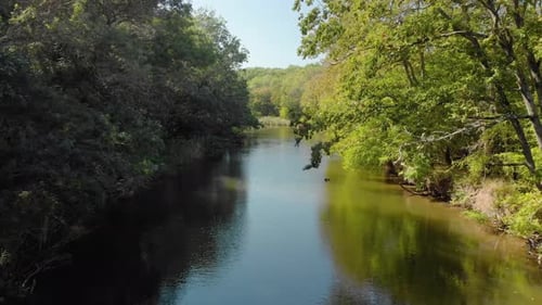 Aerial low shot with drone fly over river between trees in summer day